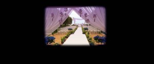 event planner, wedding planner, event organizer, event planning
