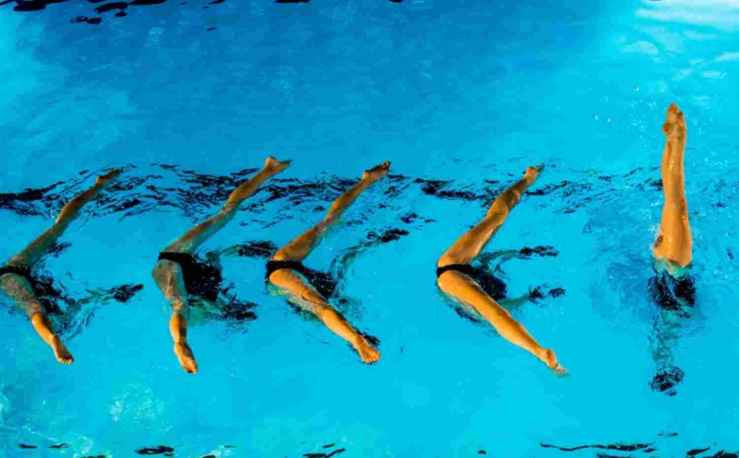 French Riviera shows